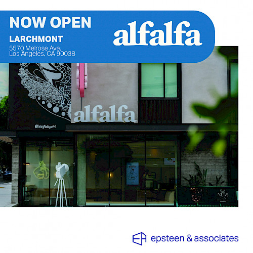 Now Open Alfalfa | Larchmont